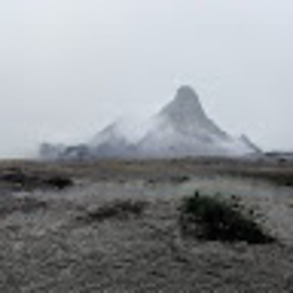 Meet your Posher, Cody - Picture 1 of 1